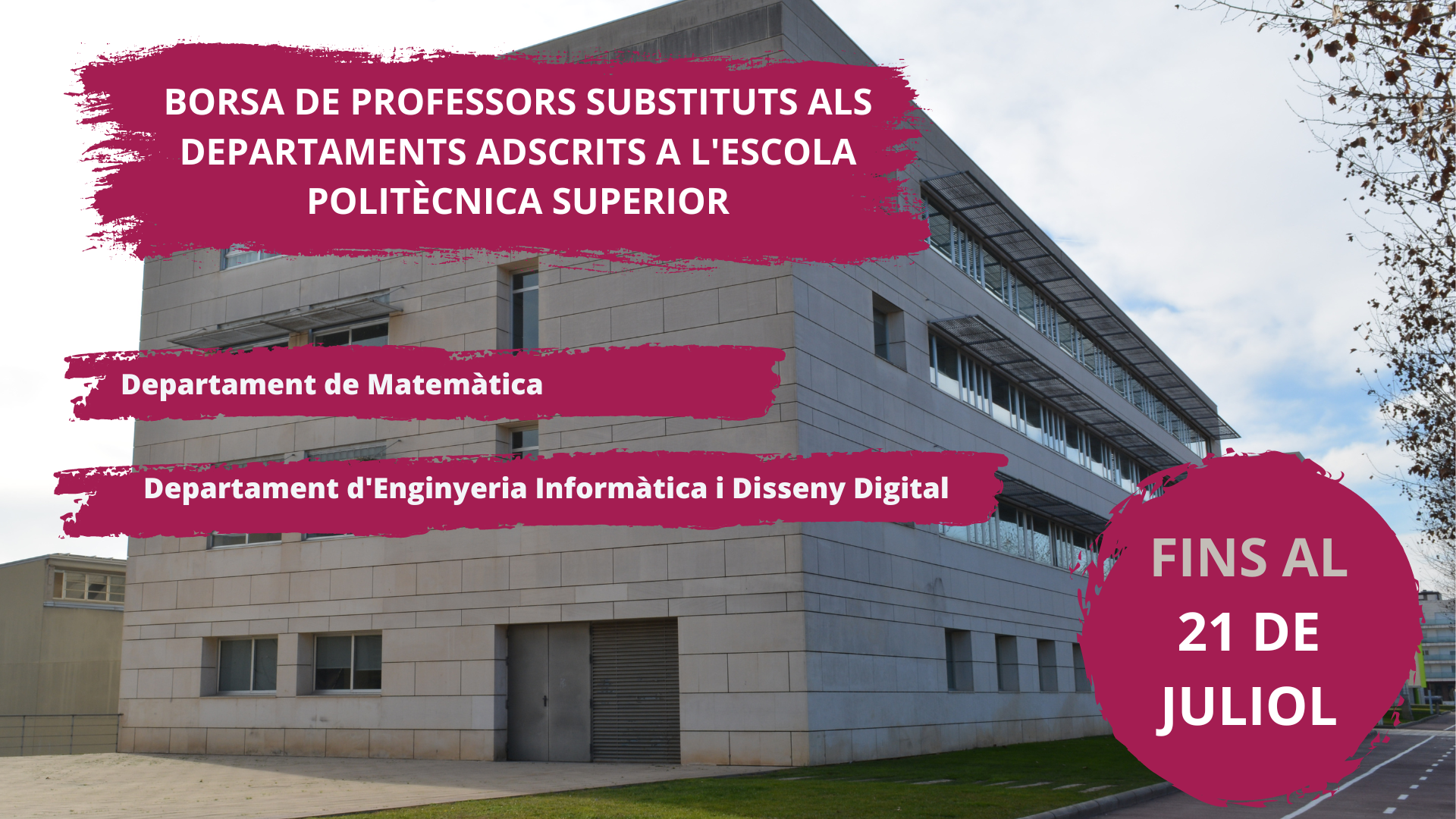 BORSA DE PROFESSORS SUBSTITUTS DEPARTAMENT D'ENGINYERIA INFORMÀTICA I DISSENY DIGITAL (Presentació (169))
