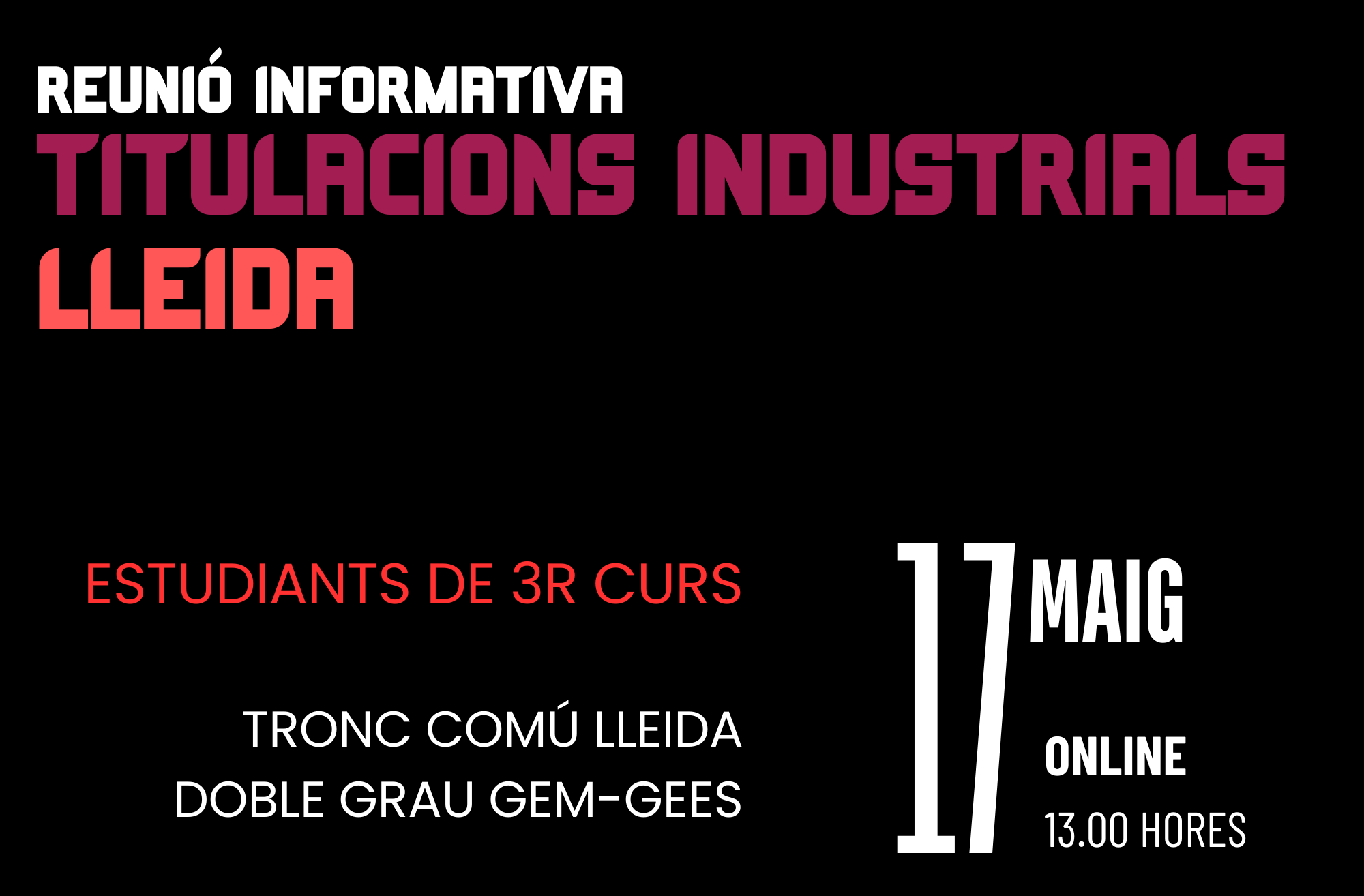Còpia de Còpia de Internship Integrated Program 2024 (35 x 23 cm)