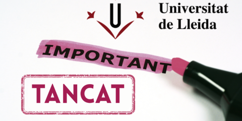 Còpia de accesibilitat digital pantalles