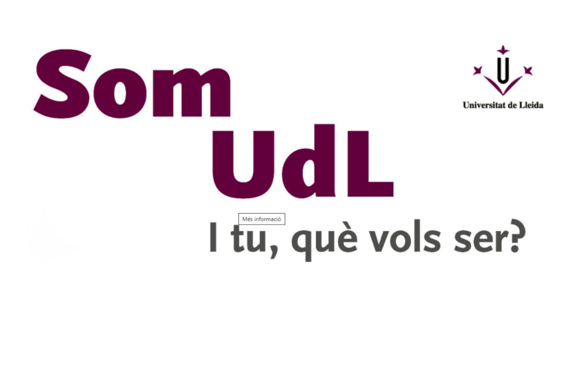 Full Internship 2026 pantalles (1)