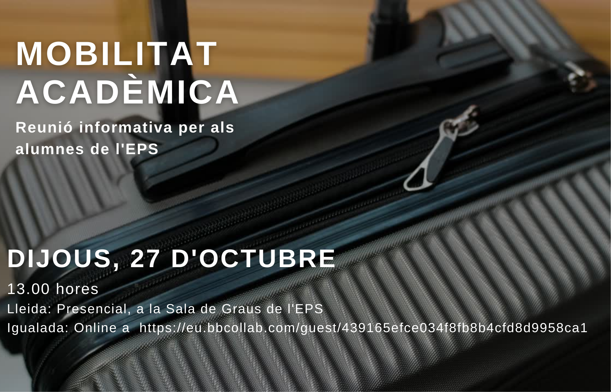 MOBILITAT ACADÈMICA (352 × 226 mm)