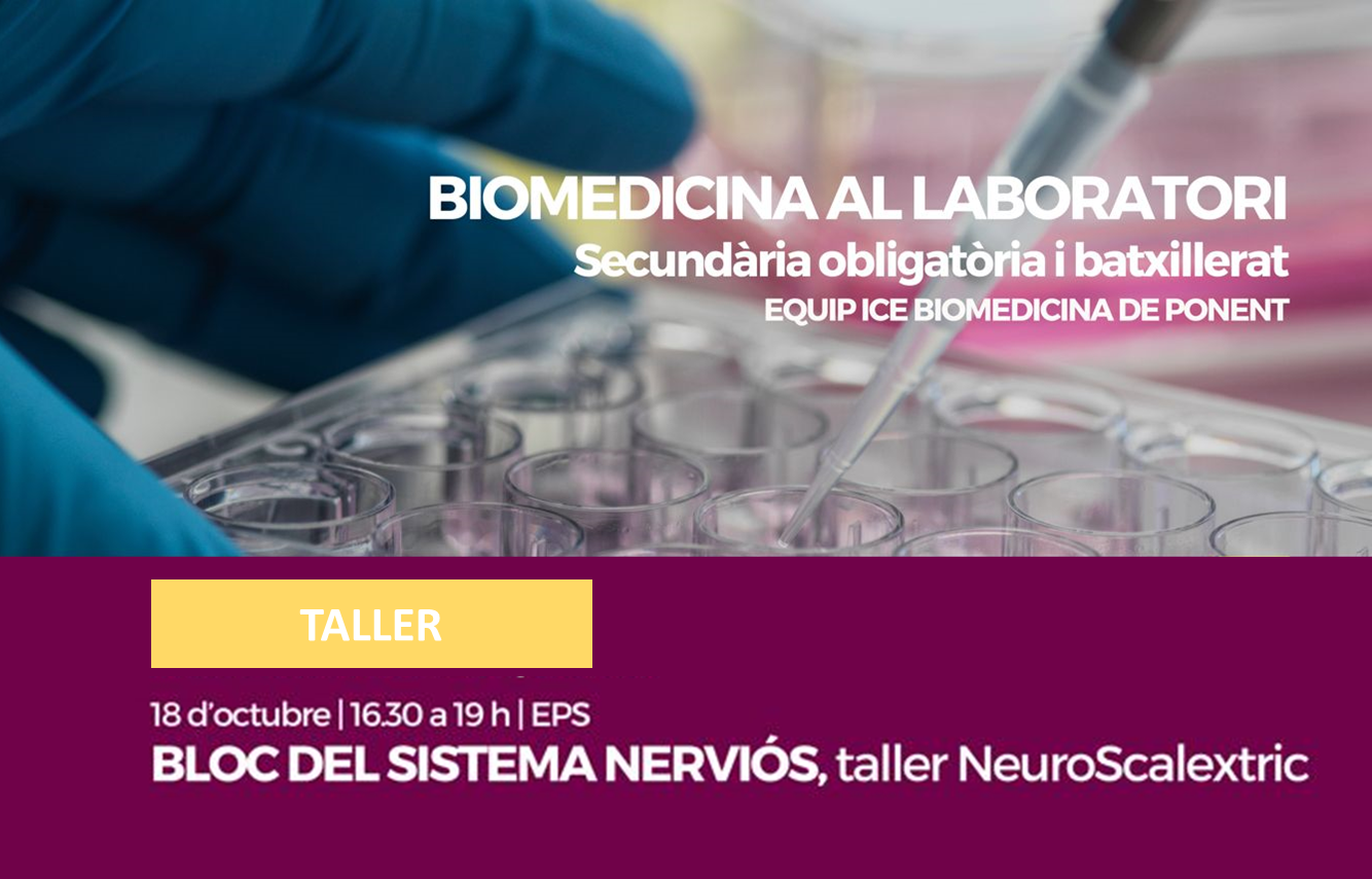 Taller ICEW Neuroscalextric