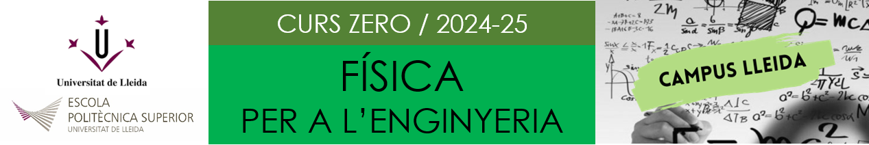 fisica 2425