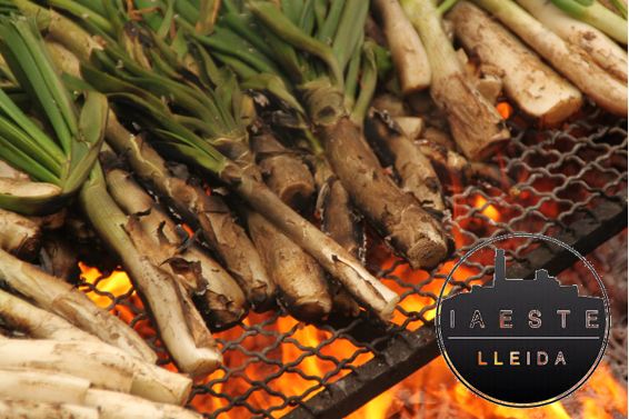 calçotada iaeste