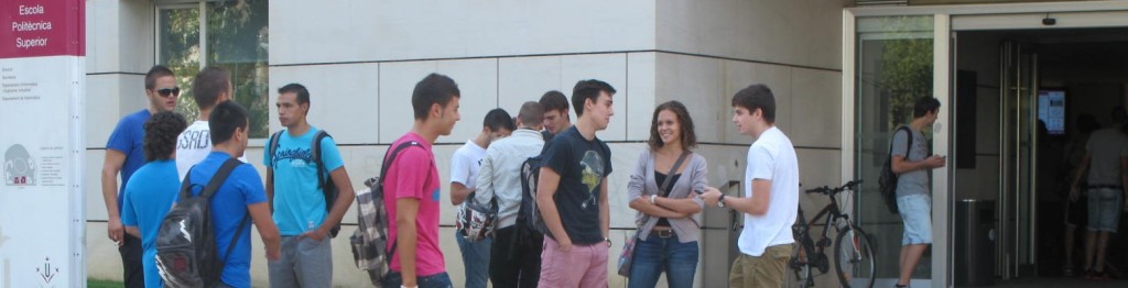 IMG_1063 (4)