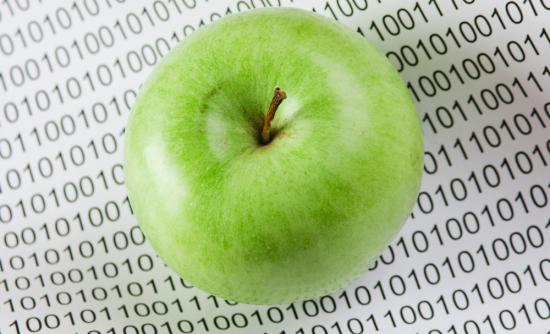 food_data_shutterstock