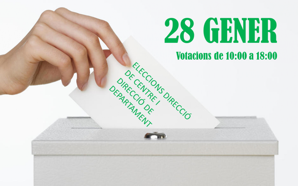 eleccions director