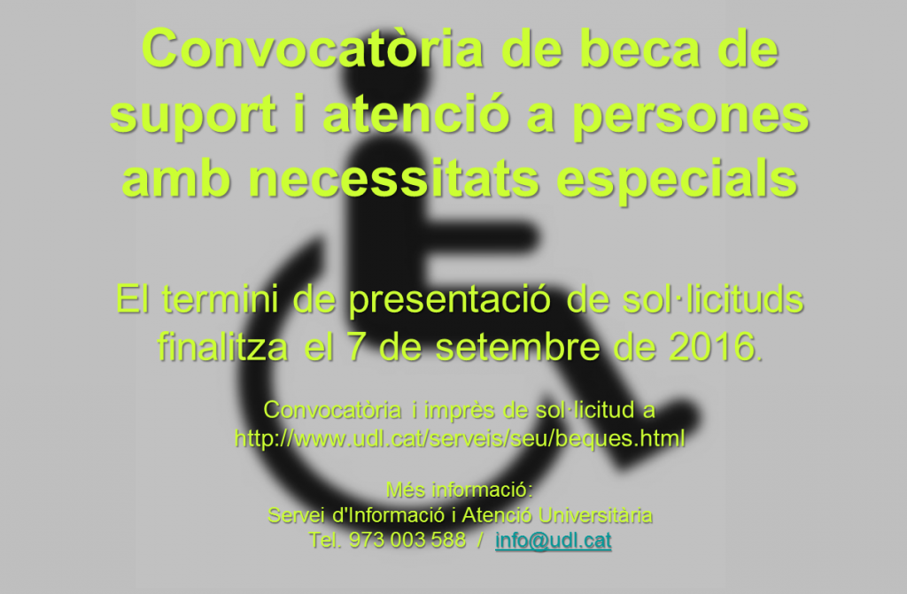 beca necessitats especials