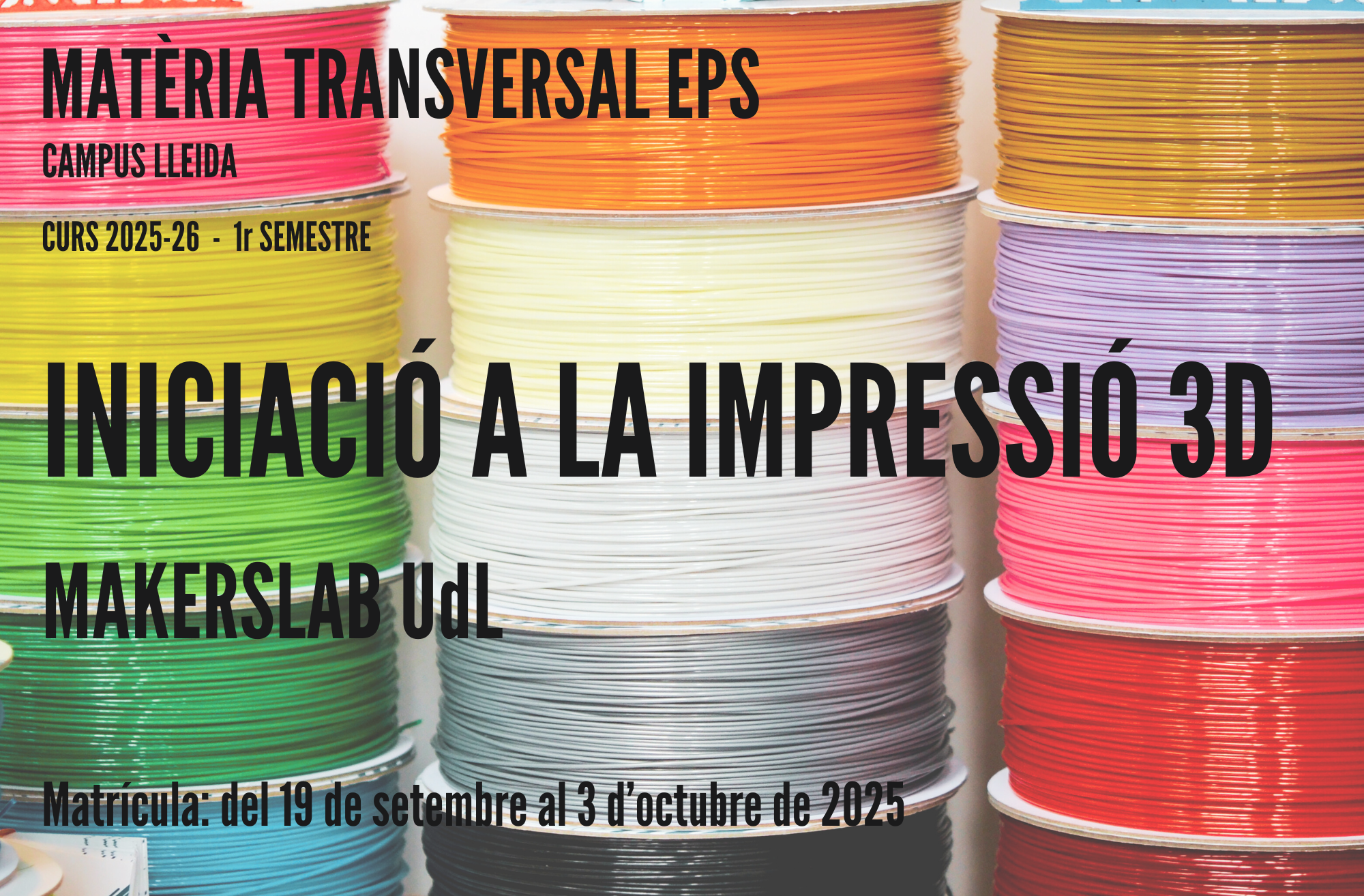 mt iMPRESSIÓ 3d