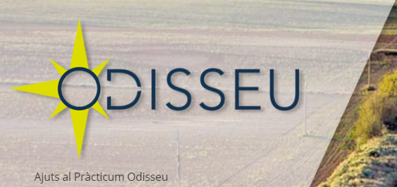 odisseu
